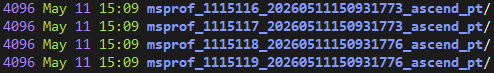 nputrace_result