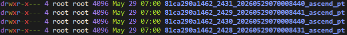 nputrace_vllm_result